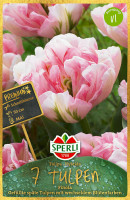 Sperli Premium Gefüllte Späte Tulpe Finola