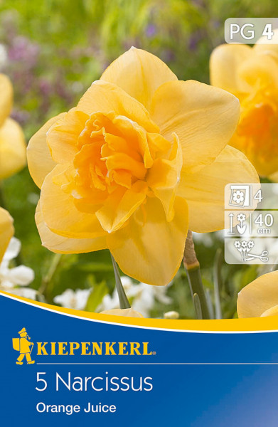 Produktbild von Kiepenkerl Narzisse Orange Juice mit Nahaufnahme der gelben Blüte vor unscharfem Gartenhintergrund und Verpackungsinformationen.