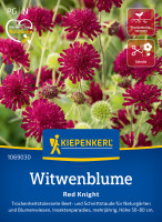 Kiepenkerl Witwenblume Red Knight