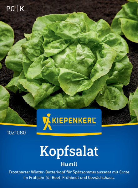 Kiepenkerl Kopfsalat Humil