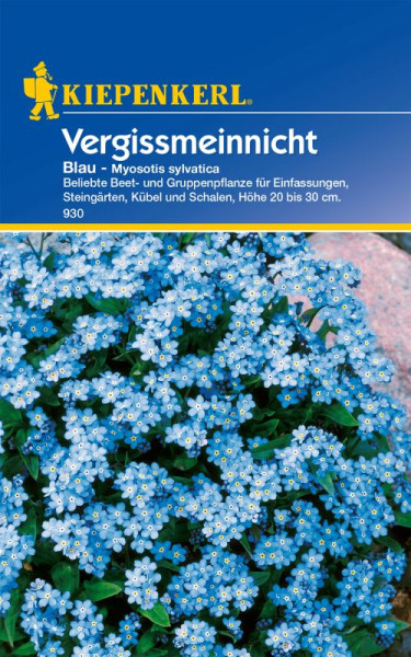 Produktbild von Kiepenkerl Vergissmeinnicht Blau mit der botanischen Bezeichnung Myosotis sylvatica und Hinweisen zur Verwendung als Beet- und Gruppenpflanze für Einfassungen, Steingärten, Kübel und Schalen.