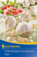 Produktbild von Kiepenkerl Knoblauch Flavor mit drei Knoblauchknollen und einzelnen Zehen auf einem Tischtuch sowie Tomatenscheiben im Hintergrund und...