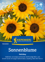 Kiepenkerl Sonnenblume Holiday