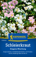 Kiepenkerl Schleierkraut Elegans Mischung