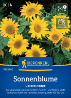 Kiepenkerl Sonnenblume Golden Hedge