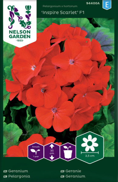 Produktbild von Nelson Garden Geranie Inspire Scarlet F1 mit Darstellung der leuchtend roten Blüten und Produktinformationen auf Deutsch und anderen Sprachen