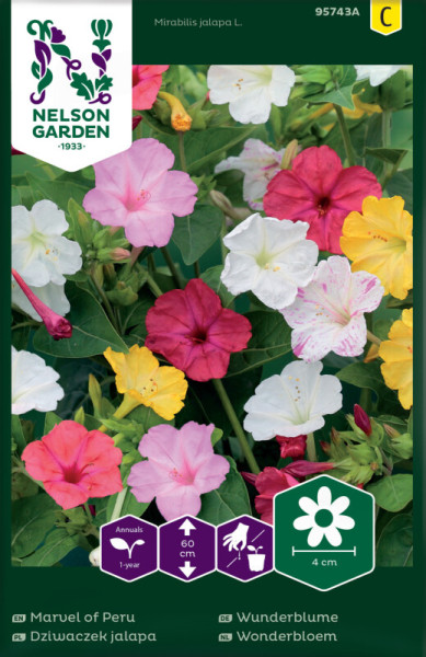 Produktbild von Nelson Garden Wunderblume mit bunten Blüten und Informationen zu Pflanzenwachstum und -größe.