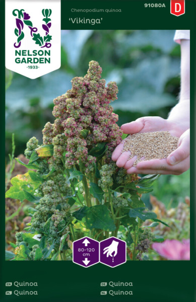 Produktbild von Nelson Garden Quinoa Vikinga mit Darstellung der Pflanze und Samen in einer Hand sowie Produktdetails und Anbauhinweisen