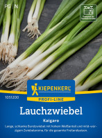 Kiepenkerl Lauchzwiebel Kaigaro Kiepenkerl Lauchzwiebel Kaigaro