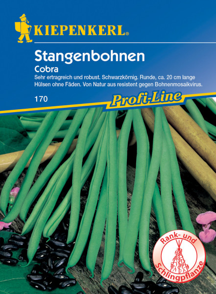Produktbild von Kiepenkerl Stangenbohne Cobra Saatgutverpackung mit Bohnenbildern und Beschreibungen der Pflanzeneigenschaften auf Deutsch.