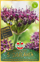 Sperli Premium Zierlauch atropurpureum