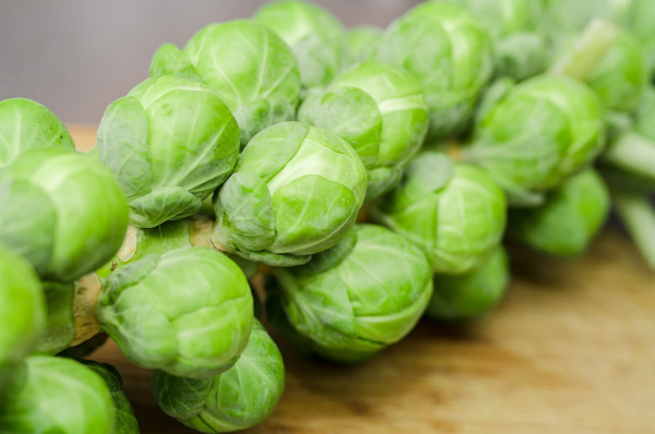 sprouts-1091633_1920