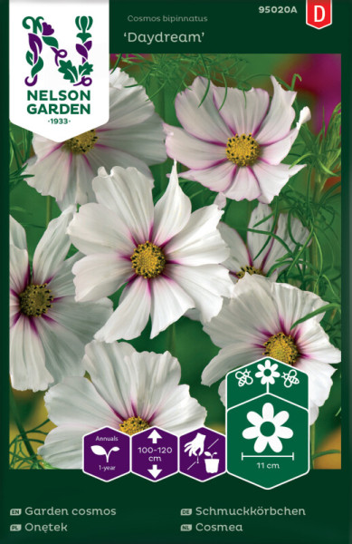 Produktbild von Nelson Garden Schmuckkörbchen Daydream mit Abbildung der weißen Blumen Pflanzeninformationen und dem Logo des Herstellers.