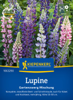 Kiepenkerl Lupine Gartenzwerg Mischung
