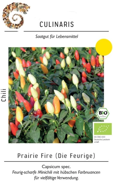 Chilisamen gewinnen: Expertentipps | Samen.de