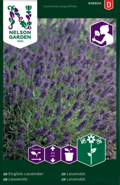 Nelson Garden Lavendel