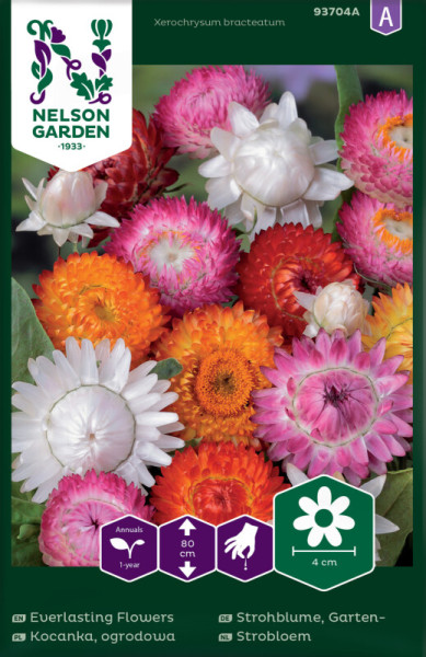 Produktbild von Nelson Garden Gartenstrohblume mit bunten Blumen und Informationen zu Pflanzeneigenschaften auf Deutsch.