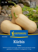 Kiepenkerl Kürbis Tiana F1