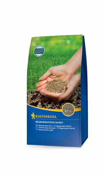 Produktbild von Kiepenkerl Regenerations-Rasen Verpackung für 1 kg Saatgut mit Rasenabbildung und einer Hand die Samen hält.