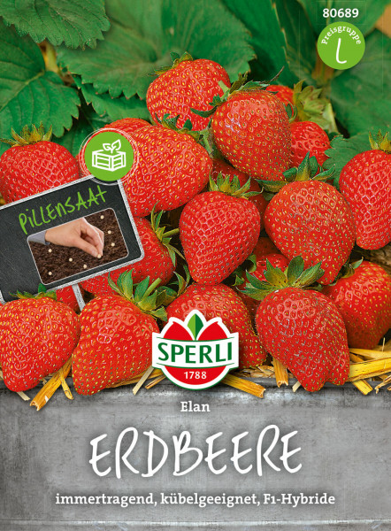 Produktbild von Sperli Erdbeere Elan F1 Pillensaat mit reifen Erdbeeren Stroh und Verpackungsdesign mit Produktinformationen im Hintergrund